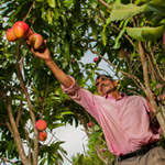 Desarrollo rural sostenible con enfoque territorial y agroecológico